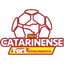 دوري كاتارينينس البرازيلي القسم 1