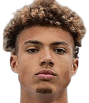 مانويل بولستر