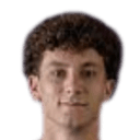 إيغور أميريغي