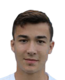 ميخال هلاديك