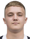 نيكو يوهان ليبر