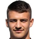 دوشان زيفكوفيتش