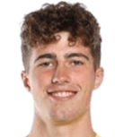 آرون فان لاري