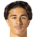 أدين ليتشينا