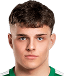 ديفيس بورمانيس