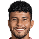 يوهان فينيغاس