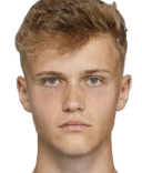 فابيان فيهناليك