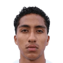 Williams Aldair Guzman Vargas