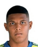 دينيفيس ويل جونيور