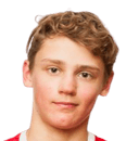 روبرت لايدفي