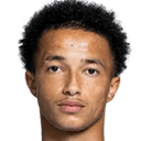 ايميل دوكوري