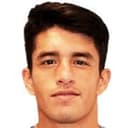 مارسيلو راؤول غويين