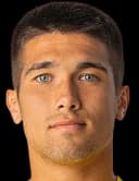 دميتري بيريفيرزيف