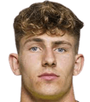 دومينيك سولزر