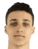 أرسيني ميغدالينوك