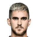 أمير بيركوفيتش