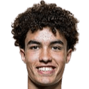 نوا دارفيتش