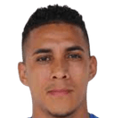 دينيس ميلينديز