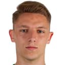 مايكل بافلوفيتش