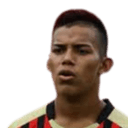 داروين بينزون