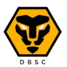 Dwivedi Brothers Dwivedi Brothers