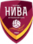 FK Nyva Buzova