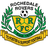 Rochedale Rovers