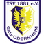 TSV 1881 Gau-Odernheim