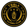 Tesla PA U20