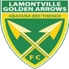 Lamontville Golden Arrows Reserves