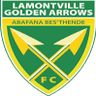 Lamontville Golden Arrows Reserves