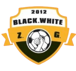 فريق زيغونغ