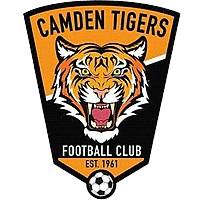 Camden Tigers U20