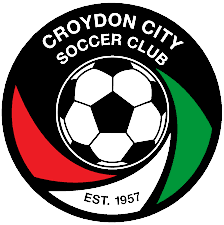 مدينة كرويدون