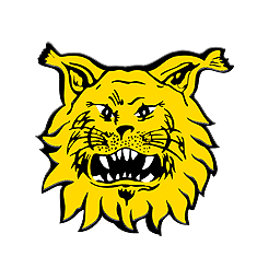 Ilves Youth