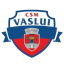 CSM Vaslui