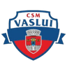 CSM Vaslui