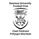 Universitas Swansea
