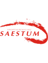 SV Saestum (W)