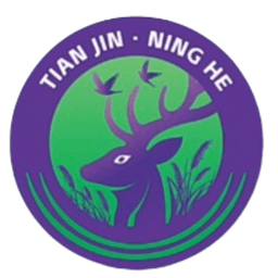 Tianjin Ninghe Tianjin Ninghe