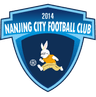Nanjing City U17