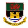 Morriston Town