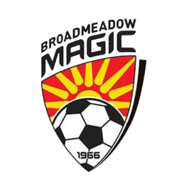 برودميدو ماجيك