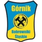 Gornik Bobrowniki Slanskie