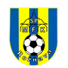 MFK Roznava