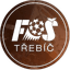 FS Trebic