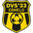DVS 33 Ermelo