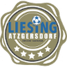 Liesing Atzgersdorf