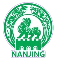 Nanjing Team