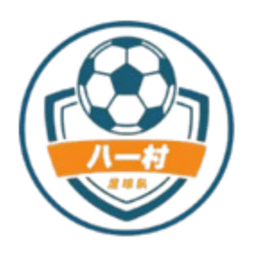 Shanghai Jinshanwei Bayi Village Football Team